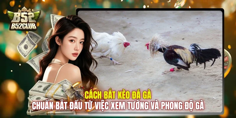 Cách bắt kèo đá gà chuẩn bắt đầu từ việc xem tướng và phong độ gà Cách bắt kèo đá gà chuẩn bắt đầu từ việc xem tướng và phong độ gà