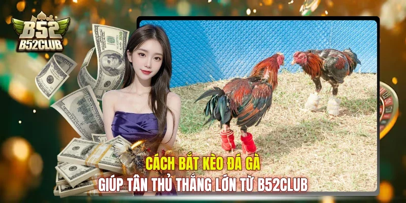 Cách Bắt Kèo Đá Gà Giúp Tân Thủ Thắng Lớn Từ B52club