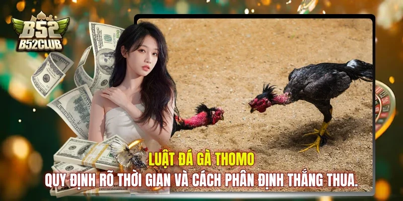 Luật đá gà Thomo quy định rõ thời gian và cách phân định thắng thua. Luật đá gà Thomo quy định rõ thời gian và cách phân định thắng thua.