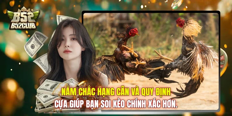 Nắm chắc hạng cân và quy định cựa giúp bạn soi kèo chính xác hơn. Nắm chắc hạng cân và quy định cựa giúp bạn soi kèo chính xác hơn.