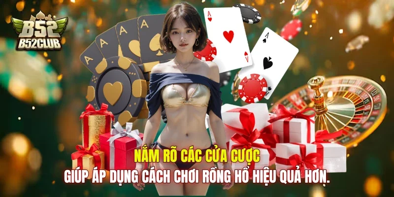 Nắm rõ các cửa cược giúp áp dụng cách chơi Rồng Hổ hiệu quả hơn.
